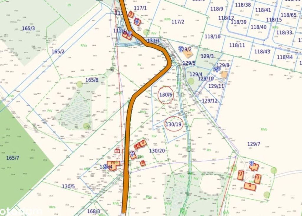 79512818_max-1