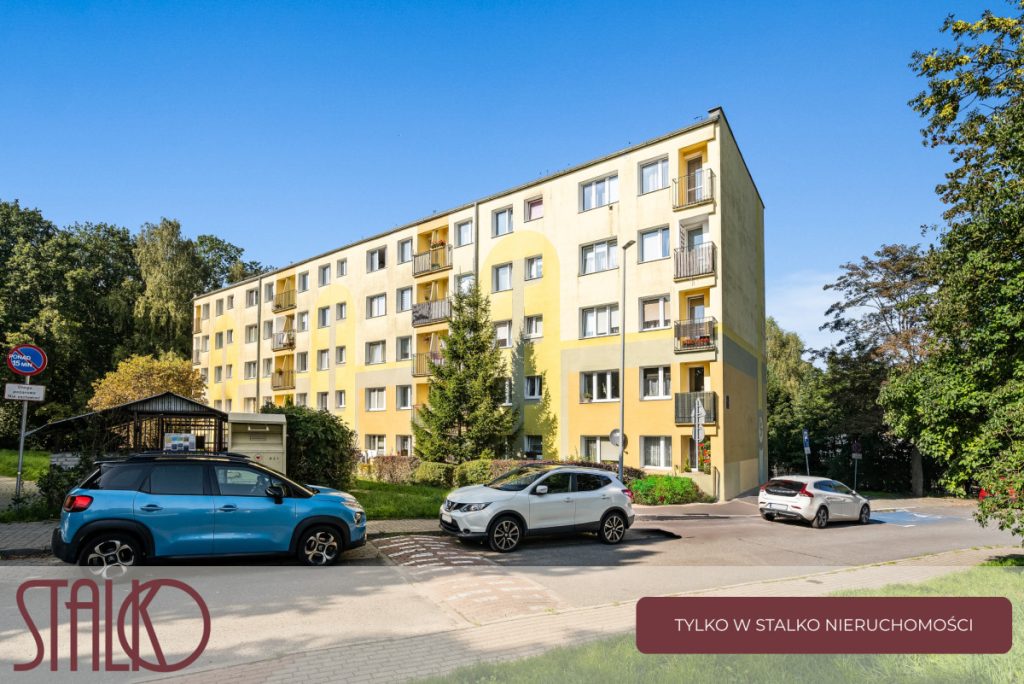 97079567_max-1